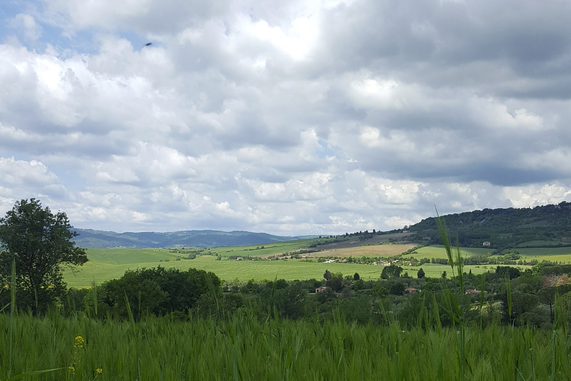 Il borgo medievale di Suvereto