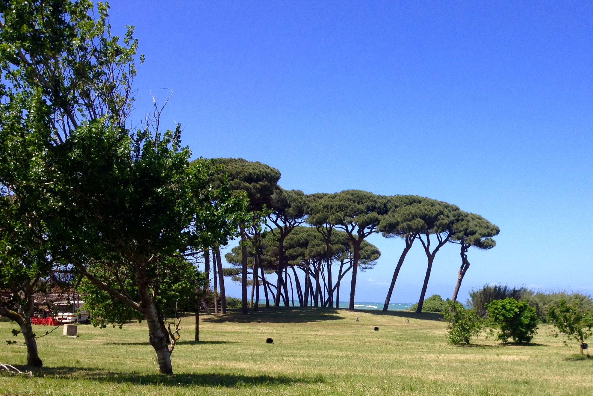 Vacanze naturali nel sud della Toscana